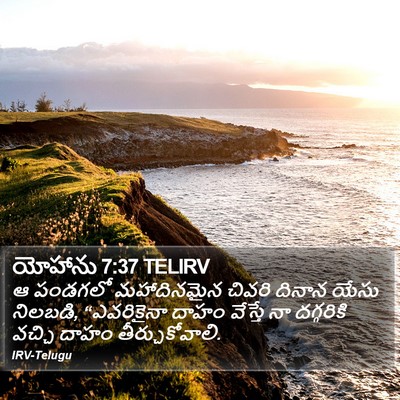 యోహాను 7:37 TELIRV Bible Verse Image