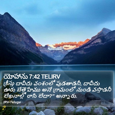 యోహాను 7:42 TELIRV Bible Verse Image