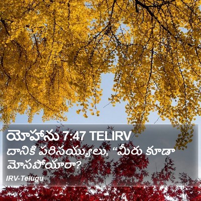 యోహాను 7:47 TELIRV Bible Verse Image