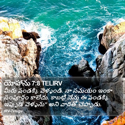 యోహాను 7:8 TELIRV Bible Verse Image