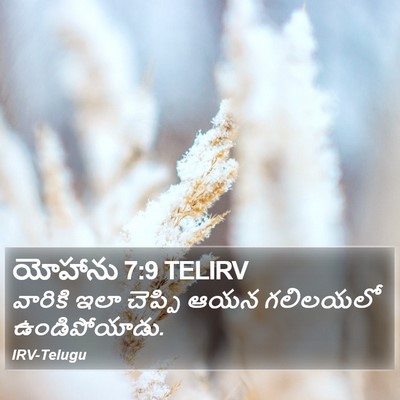 యోహాను 7:9 TELIRV Bible Verse Image