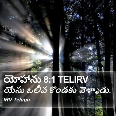 యోహాను 8:1 TELIRV Bible Verse Image