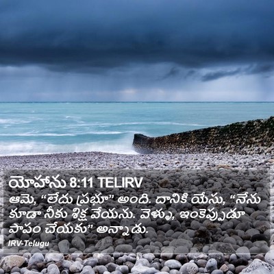 యోహాను 8:11 TELIRV Bible Verse Image