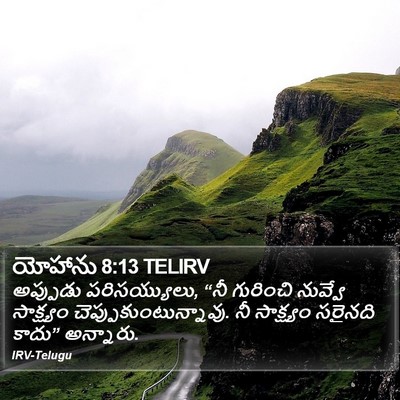 యోహాను 8:13 TELIRV Bible Verse Image