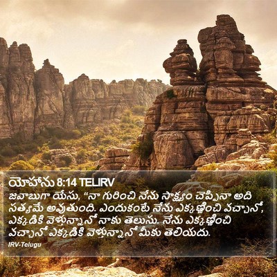 యోహాను 8:14 TELIRV Bible Verse Image