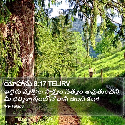 యోహాను 8:17 TELIRV Bible Verse Image
