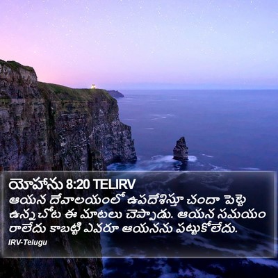 యోహాను 8:20 TELIRV Bible Verse Image