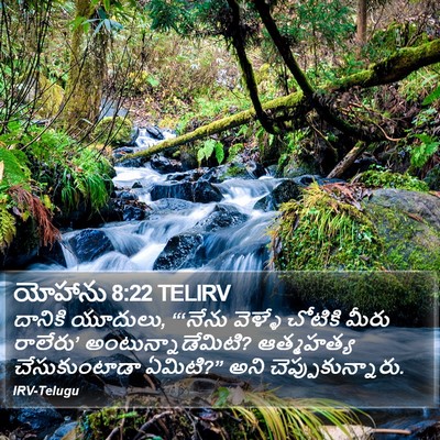 యోహాను 8:22 TELIRV Bible Verse Image