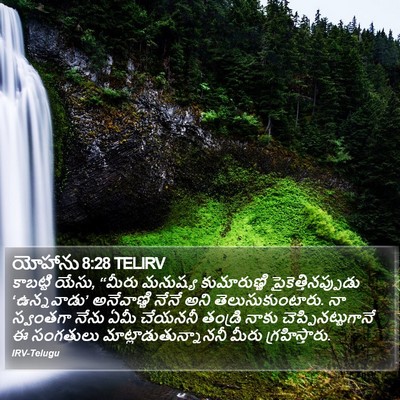 యోహాను 8:28 TELIRV Bible Verse Image