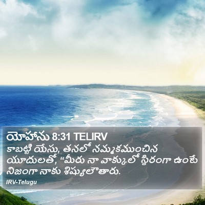 యోహాను 8:31 TELIRV Bible Verse Image