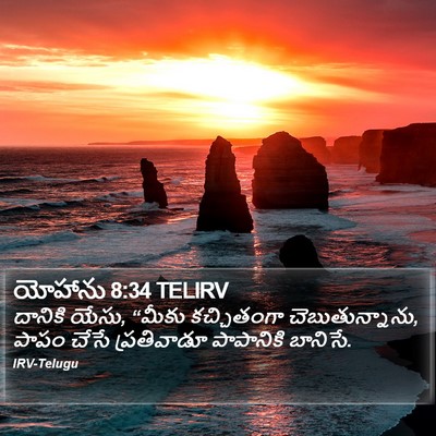 యోహాను 8:34 TELIRV Bible Verse Image