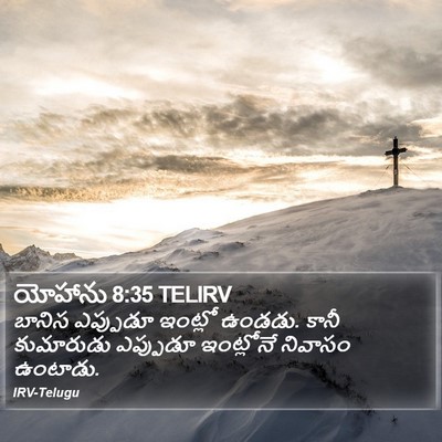 యోహాను 8:35 TELIRV Bible Verse Image