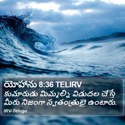 యోహాను 8:36 TELIRV Bible Verse Image