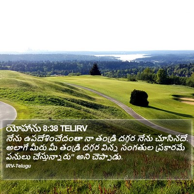 యోహాను 8:38 TELIRV Bible Verse Image