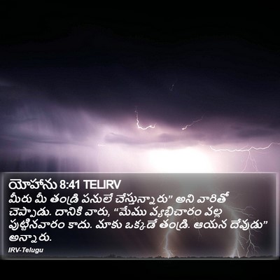 యోహాను 8:41 TELIRV Bible Verse Image
