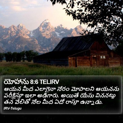 యోహాను 8:6 TELIRV Bible Verse Image