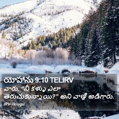 యోహాను 9:10 TELIRV Bible Verse Image