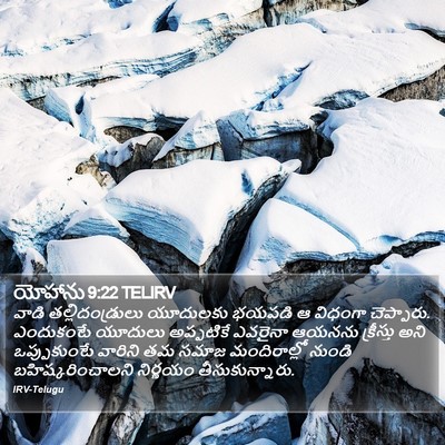 యోహాను 9:22 TELIRV Bible Verse Image