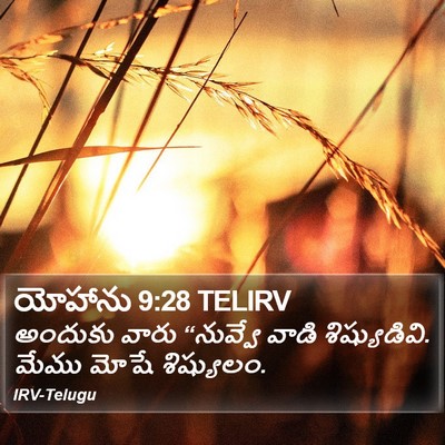 యోహాను 9:28 TELIRV Bible Verse Image