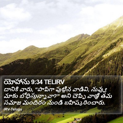 యోహాను 9:34 TELIRV Bible Verse Image