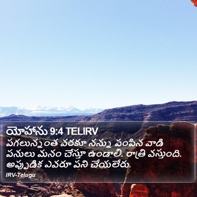 యోహాను 9:4 TELIRV Bible Verse Image