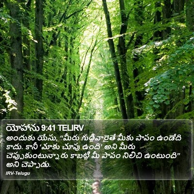 యోహాను 9:41 TELIRV Bible Verse Image