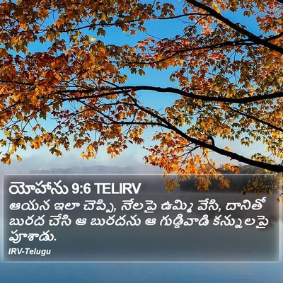 యోహాను 9:6 TELIRV Bible Verse Image