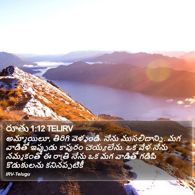 రూతు 1:12 TELIRV Bible Verse Image