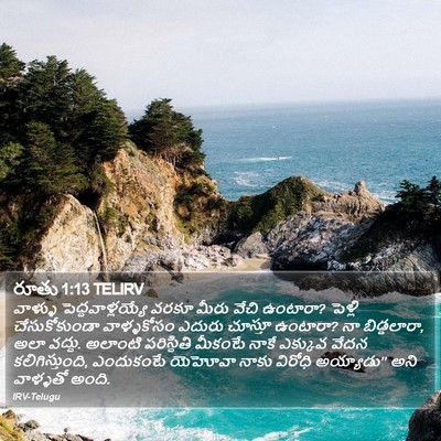 రూతు 1:13 TELIRV Bible Verse Image