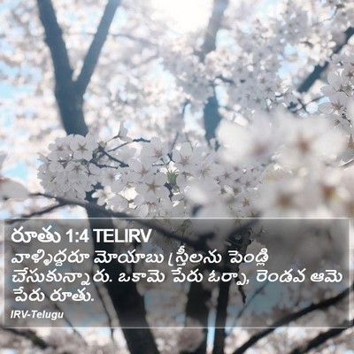 రూతు 1:4 TELIRV Bible Verse Image