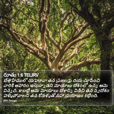 రూతు 1:6 TELIRV Bible Verse Image