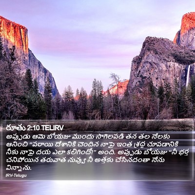 రూతు 2:10 TELIRV Bible Verse Image