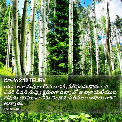 రూతు 2:12 TELIRV Bible Verse Image