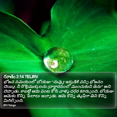 రూతు 2:14 TELIRV Bible Verse Image
