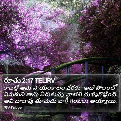రూతు 2:17 TELIRV Bible Verse Image