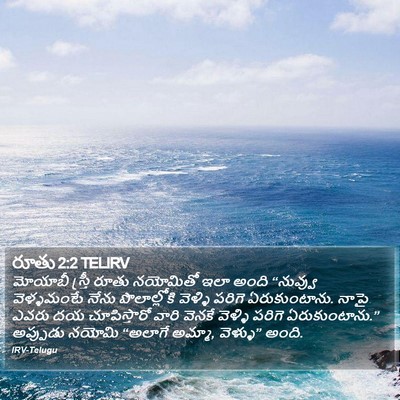 రూతు 2:2 TELIRV Bible Verse Image