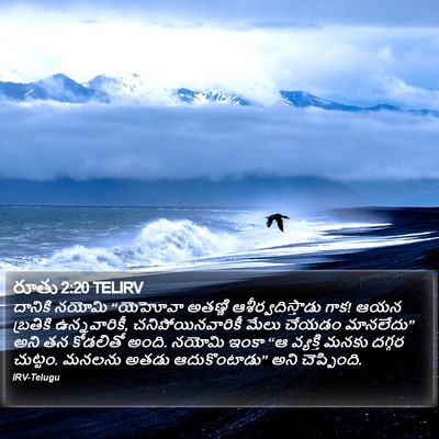 రూతు 2:20 TELIRV Bible Verse Image