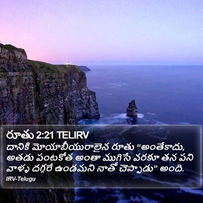 రూతు 2:21 TELIRV Bible Verse Image