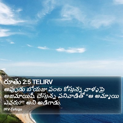రూతు 2:5 TELIRV Bible Verse Image