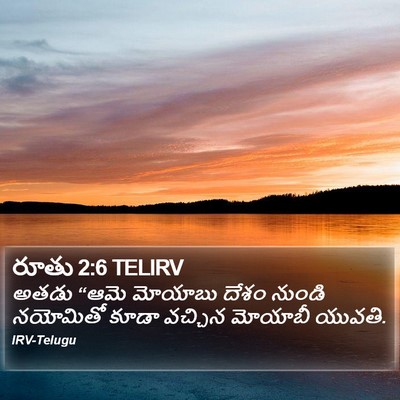 రూతు 2:6 TELIRV Bible Verse Image