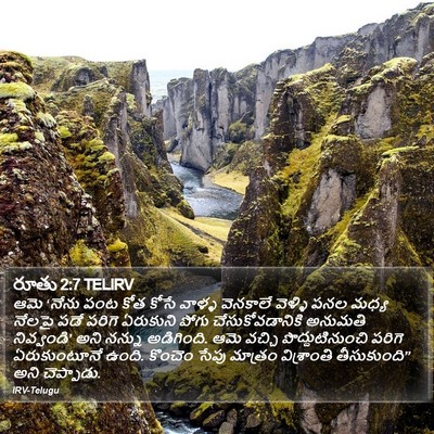 రూతు 2:7 TELIRV Bible Verse Image