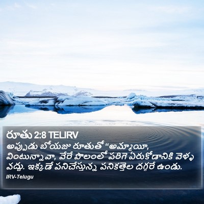 రూతు 2:8 TELIRV Bible Verse Image