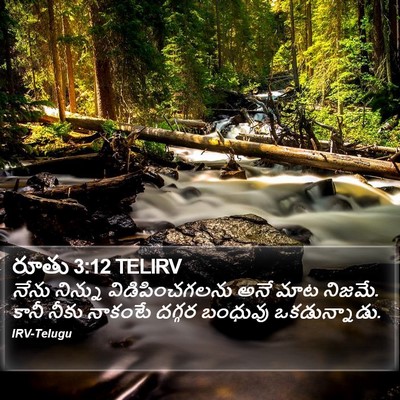 రూతు 3:12 TELIRV Bible Verse Image