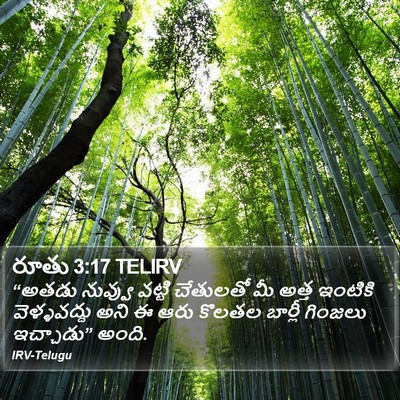 రూతు 3:17 TELIRV Bible Verse Image