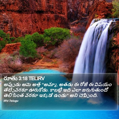 రూతు 3:18 TELIRV Bible Verse Image