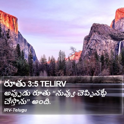 రూతు 3:5 TELIRV Bible Verse Image