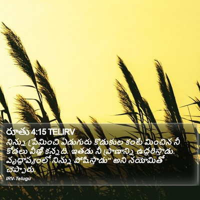 రూతు 4:15 TELIRV Bible Verse Image