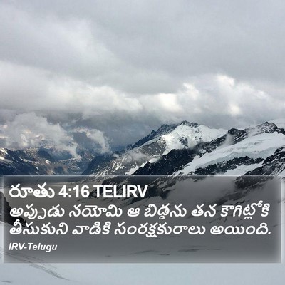 రూతు 4:16 TELIRV Bible Verse Image