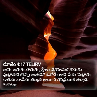 రూతు 4:17 TELIRV Bible Verse Image