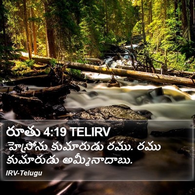 రూతు 4:19 TELIRV Bible Verse Image